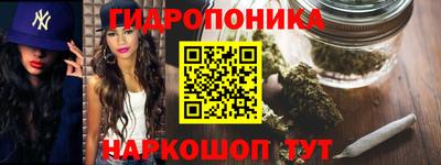 прущие крисы Краснокаменск