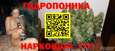 прущие крисы Краснокаменск