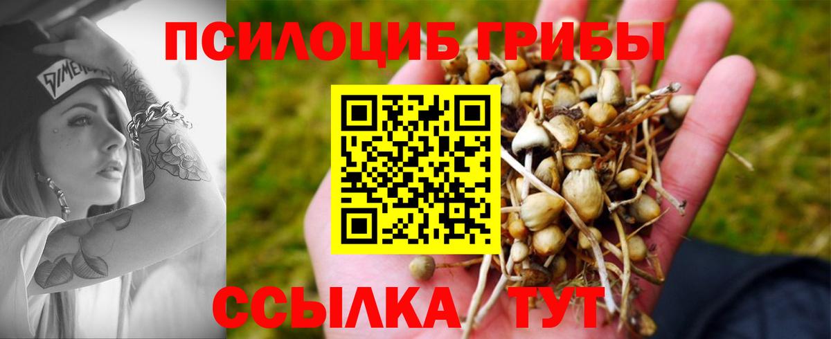 Галлюциногенные грибы Magic Shrooms  Вход с VPN  Барабинск 